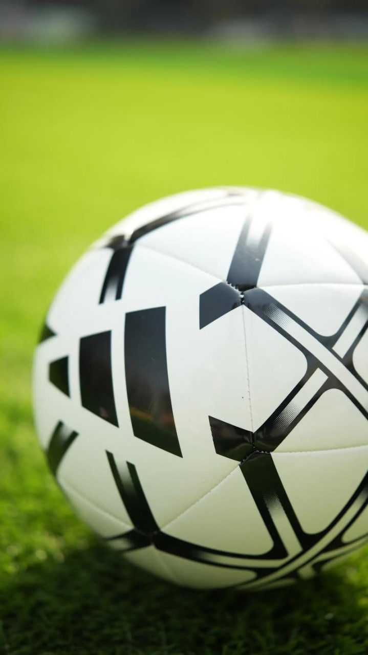 多平台下载支持展示