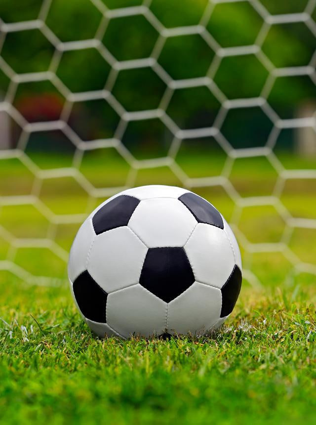 赛事数据分析图表